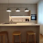 Oldtown 130m2 ,60m2 Terrace And 2 Bathrooms Bratislava